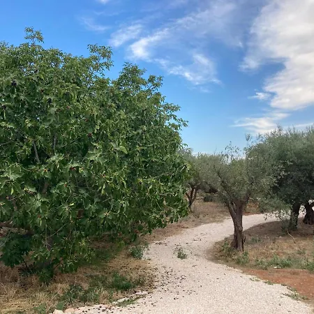 Bed & Breakfast Il Casale Di Brunella *