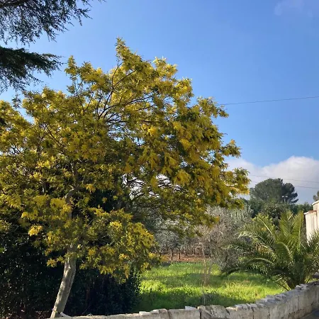 Il Casale Di Brunella