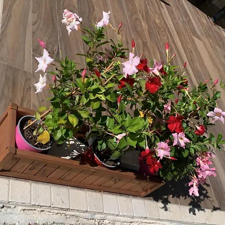 Bed & Breakfast Il Casale Di Brunella