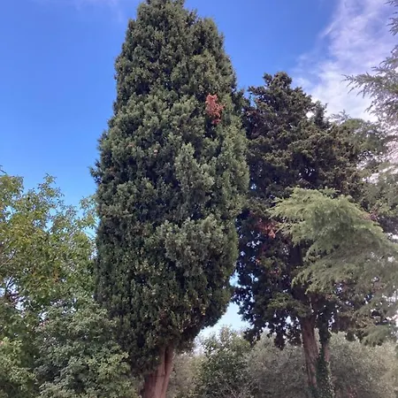 Bed & Breakfast Il Casale Di Brunella